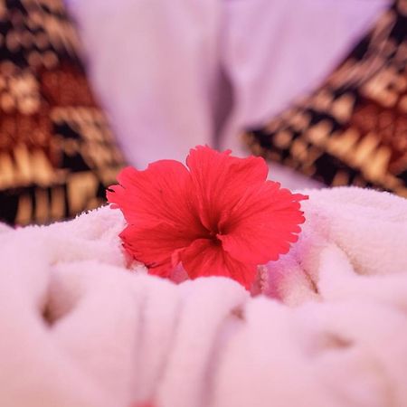 Nungwi Heritage Resort Luaran gambar